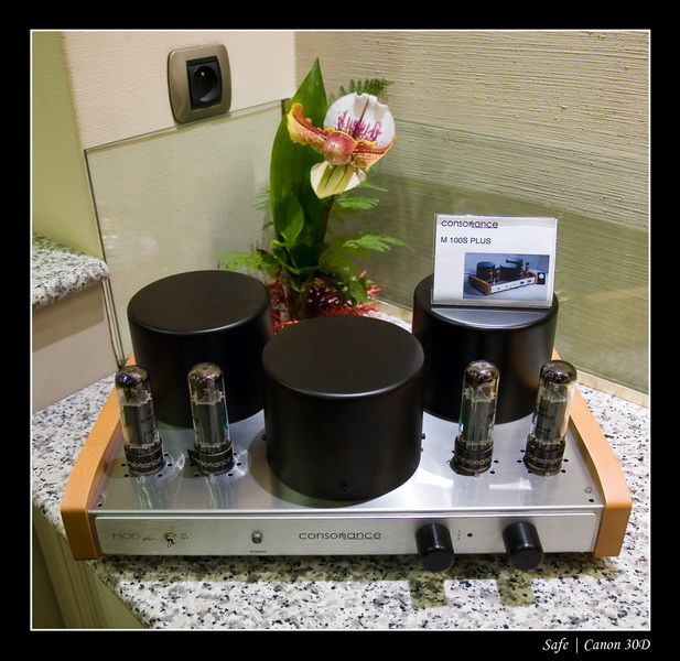 2007 - 03 - Salon hifi sofitel - 043